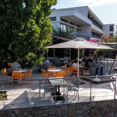 Les Eucalyptus 3* 포르토 폴로