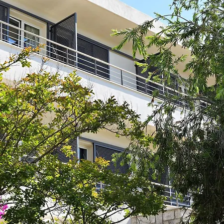 Les Eucalyptus 포르토 폴로