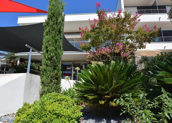 Les Eucalyptus Porto Pollo