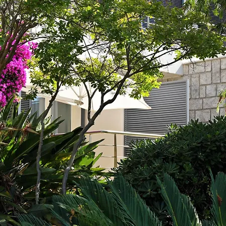 Les Eucalyptus Porto Pollo