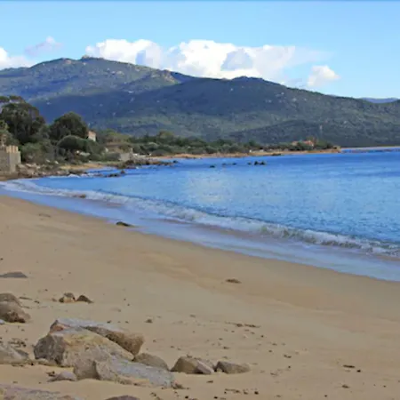 Les Eucalyptus 3*