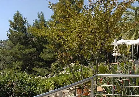 Hotel Les Eucalyptus