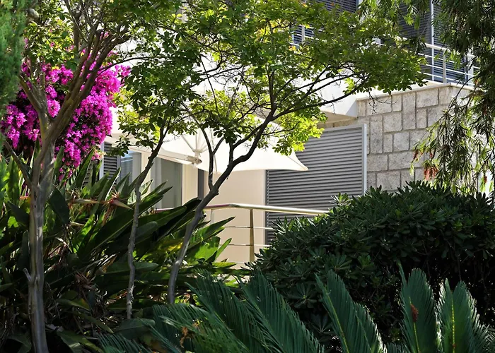 Les Eucalyptus Porto Pollo