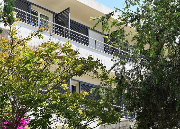 Les Eucalyptus Porto Pollo